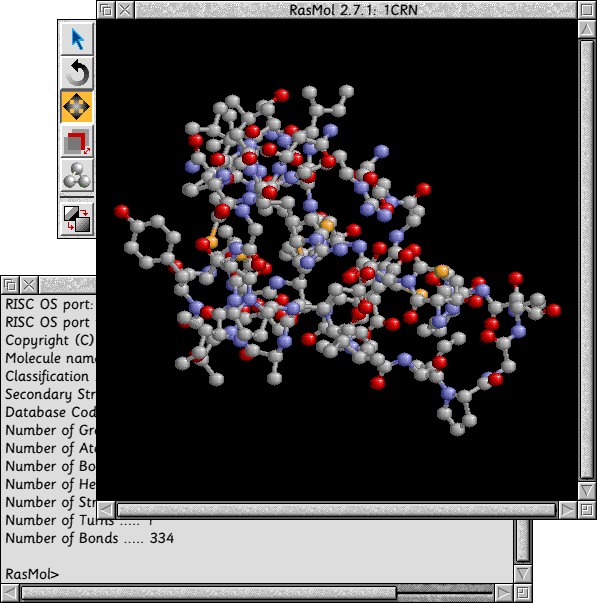 RasMol screenshot